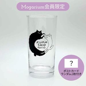 【Mogarium限定】くまシオグラス