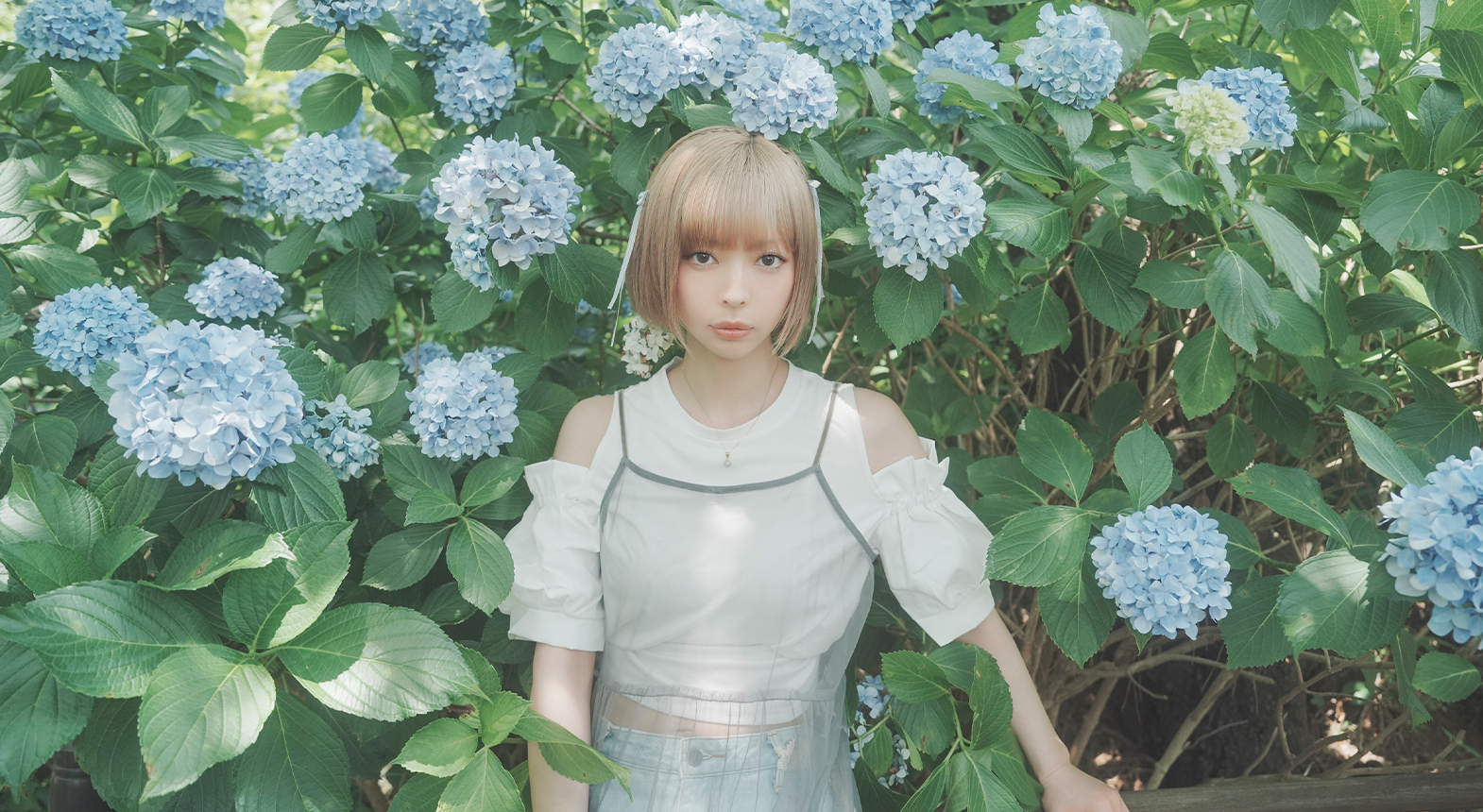 メイン画像 PC